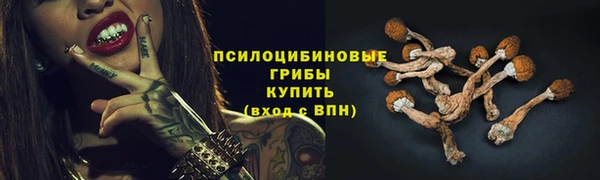 соль курить ск Карпинск