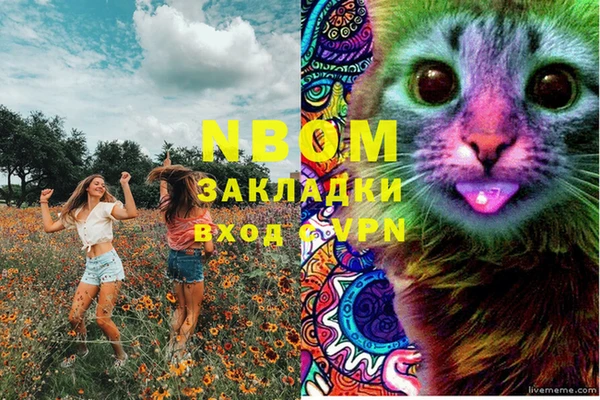 гидра Козельск