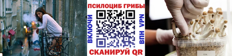купить наркоту  Называевск  Псилоцибиновые грибы мицелий 